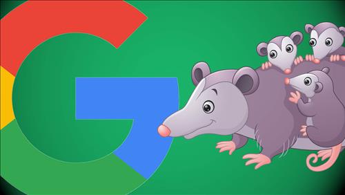 Thuật toán Google Possum: Tác động tới tìm kiếm địa phương Search Local