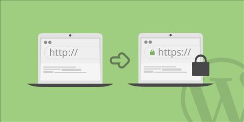 Hướng dẫn chuyển HTTP sang HTTPS để SEO không bị ảnh hưởng