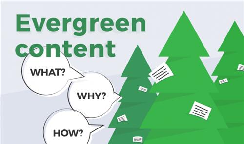 Evergreen Content là gì? Nội dung thường xanh mang lại traffic thường xuyên