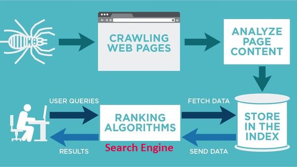 Học SEO bắt đầu từ đâu? Tại sao nên tìm hiểu Search Engine