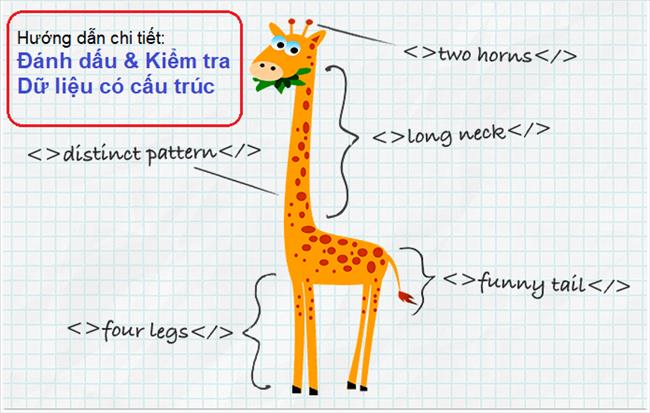 Structured Data là gì? Hướng dẫn đánh dấu và kiểm tra dữ liệu có cấu trúc cho trang web (7 bước)