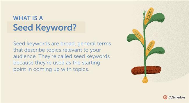 Seed Keyword Là Gì? Cách Tìm Từ Khóa Hạt Giống Để Tạo Chủ Đề Content