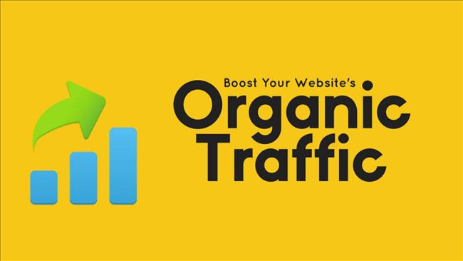 Organic Traffic là gì? Cách tốt nhất để tăng lưu lượng truy cập không phải trả tiền