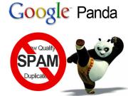 4 bước cải thiện Content để tránh Google Panda
