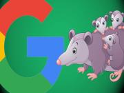 Thuật toán Google Possum: Tác động tới tìm kiếm địa phương Search Local