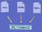 Canonical URL là gì? Cách sử dụng thẻ REL Canonical chính xác