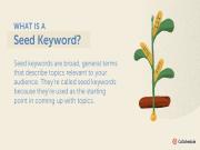 Seed Keyword là gì? Cách Tìm từ khóa hạt giống để tạo chủ đề content