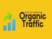 Organic Traffic là gì? Cách tốt nhất để tăng lưu lượng truy cập không phải trả tiền
